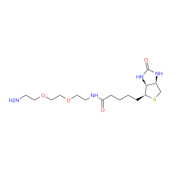 N-生物素-3,6-二氧辛烷-1,8-二胺,N-BIOTINYL-3,6-DIOXAOCTANE-1,8-DIAMINE