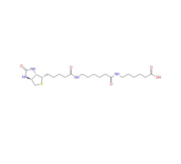 6-((6-((生物素基)氨基)己?；?氨基)己酸,LC-LC(+)-Biotin