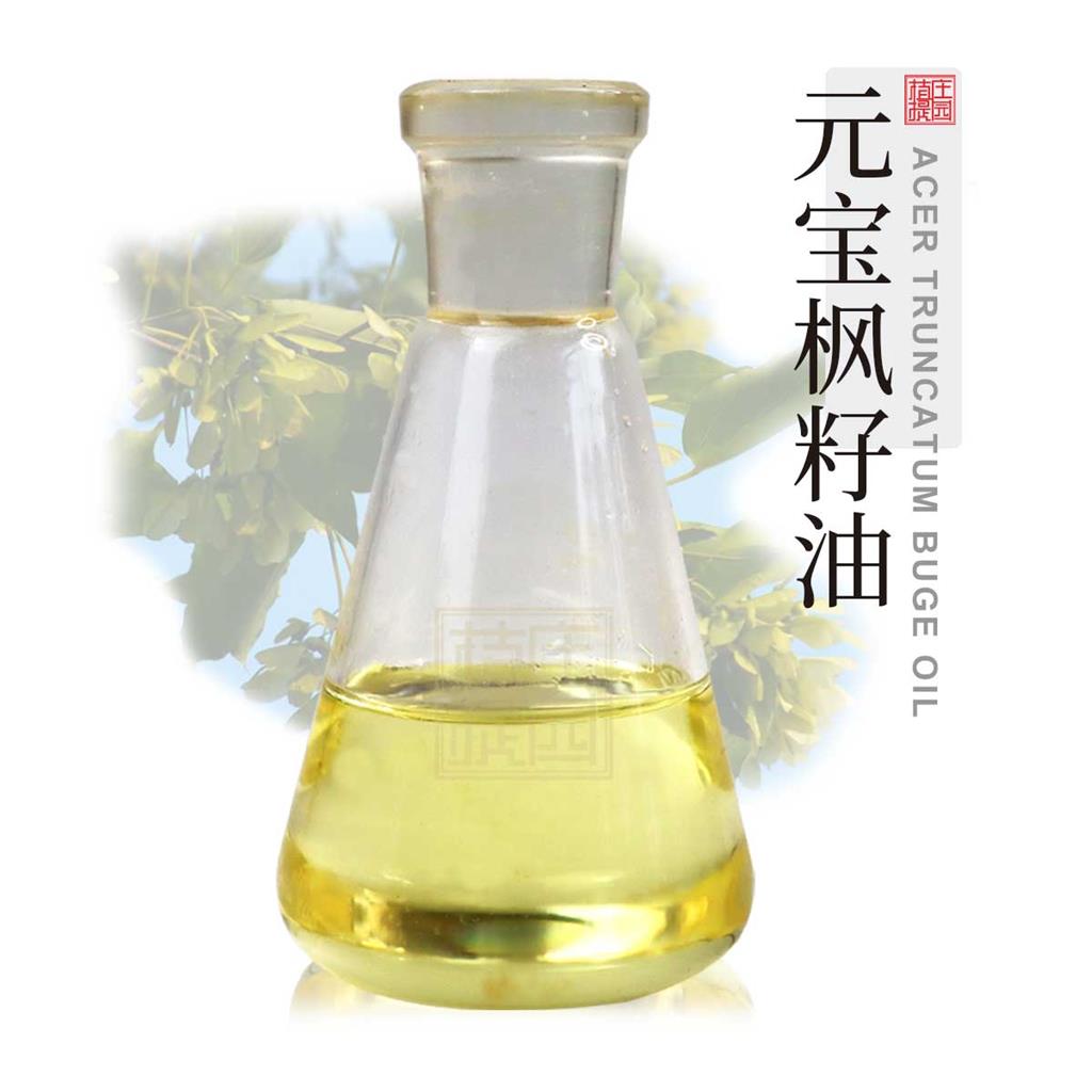 元宝枫籽油,Acer truncatum Bunge seed oil