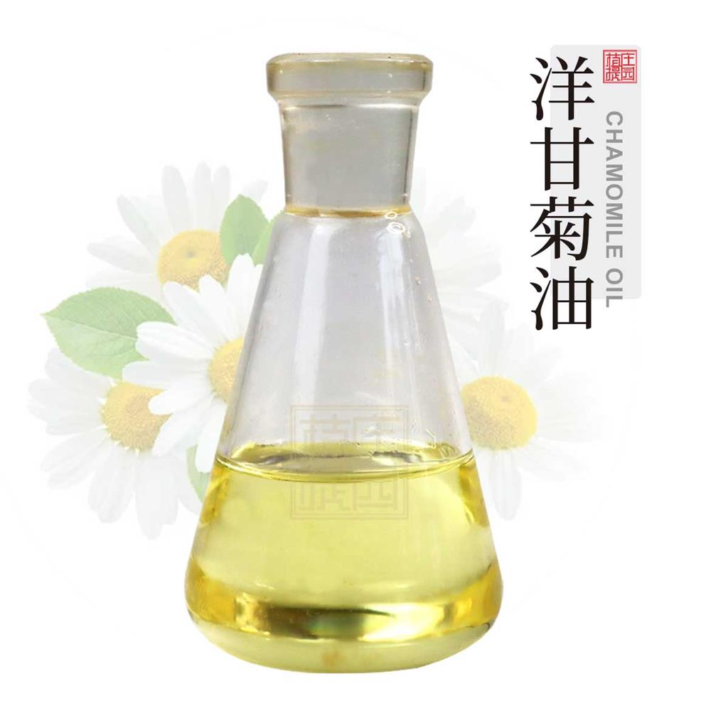 洋甘菊油,Chamomile Oil