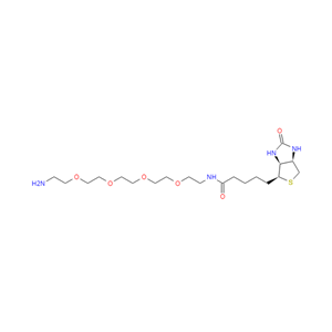(3AS,4S,6AR)-N-(14-氨基-3,6,9,12-四氧杂十四烷-1-基)六氢-2-氧代-1H-噻吩并[3,4-D]咪唑-4-戊酰胺