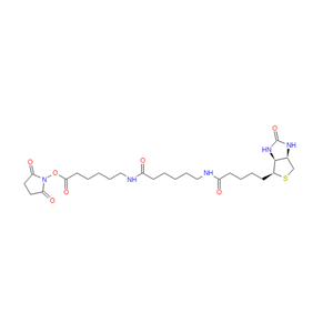 N-[6-(生物素氨基)己酰基]-6-氨基己酸N-琥珀酰亚胺酯,BIOTIN-XX-NHS