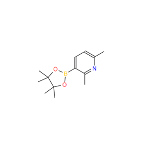 2,6-二甲基-3-吡啶硼酸片呐酯