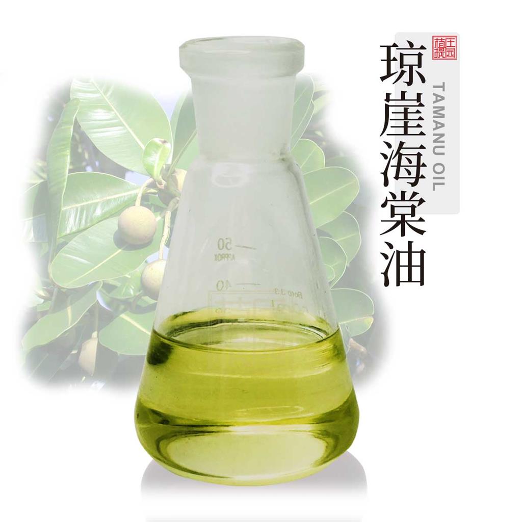 琼崖海棠油,Qiongya Begonia Oil
