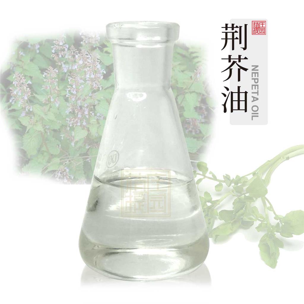 荆芥油,Nepeta cataria oil