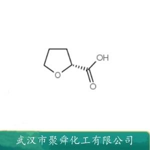 (R)-四氢呋喃甲酸,(R)-(+)-2-Tetrahydrofuroic acid