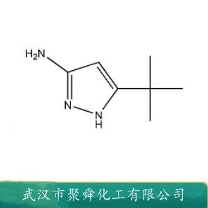 3-叔丁基-吡唑-5-胺,3-amino-5-tert-butylpyrazole