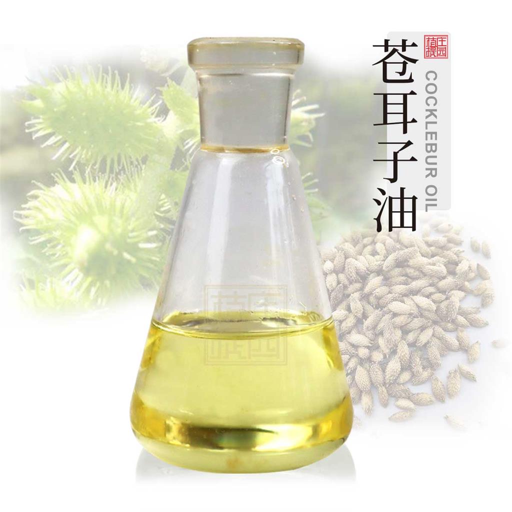 苍耳子油,Xanthium Extract