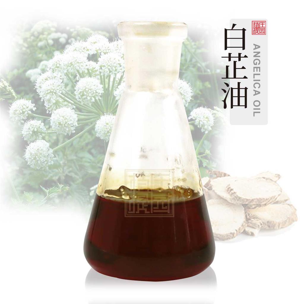 白芷油,Angelica dahurica extract