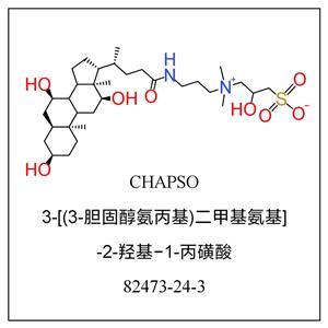 3-[(3-胆固醇氨丙基)二甲基氨基]-2-羟基-1-丙磺酸（CHAPSO）,CHAPSO