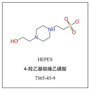 羥乙基哌嗪乙磺酸,HEPES