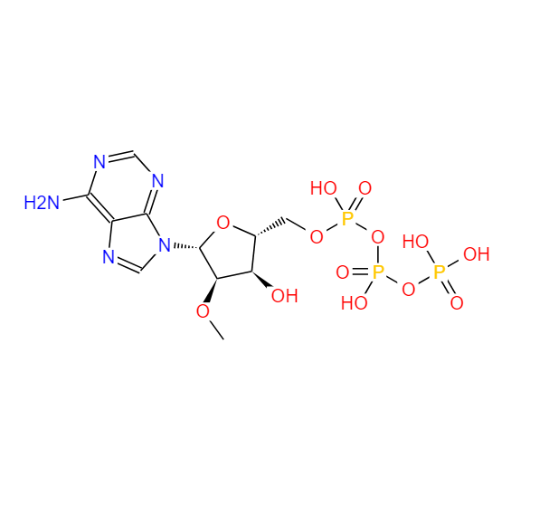 2'-甲氧基-脫氧腺苷三磷酸100MM溶液,Adenosine 5'-(tetrahydrogen triphosphate), 2'-O-Methyl-