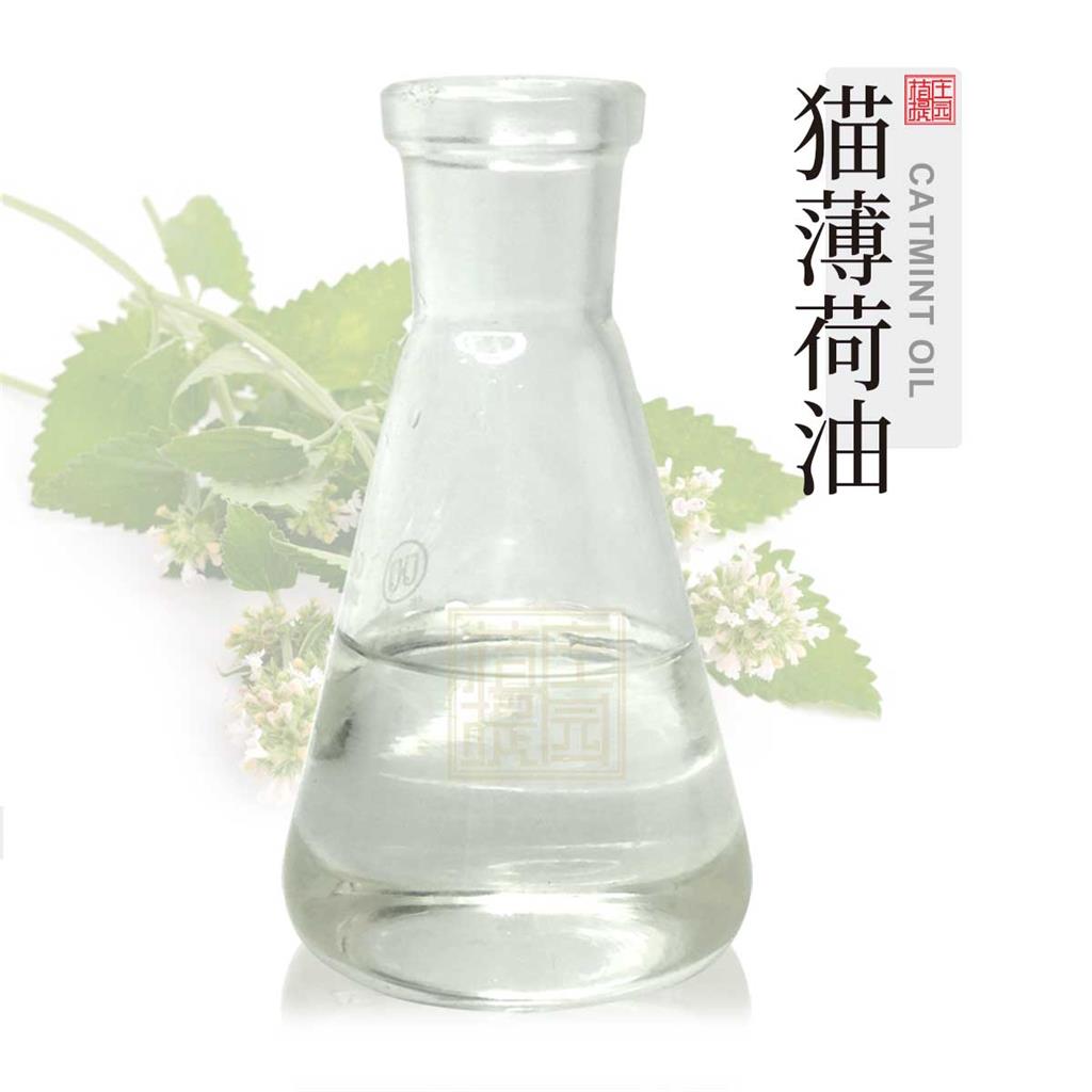 猫薄荷油,Catnip oil