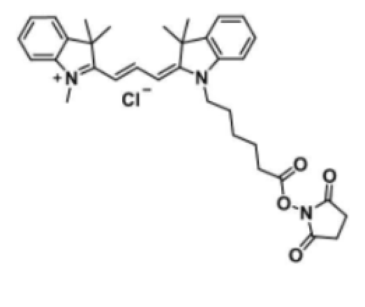脂溶性CY3-NHS酯,CY3 NHS ESTER