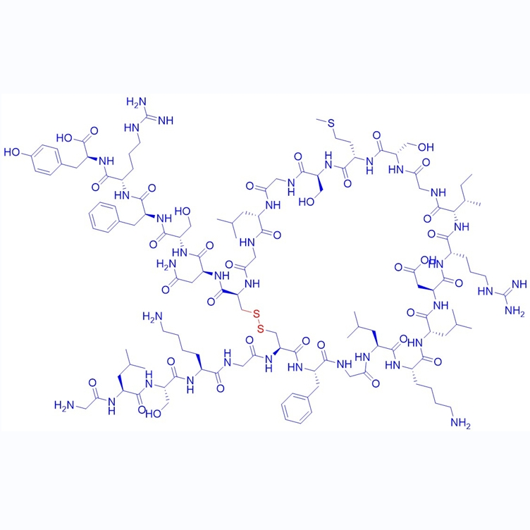 心钠素C型利钠肽嵌合多肽Vasonatrin Peptide (VNP),Vasonatrin Peptide (VNP)