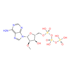2'-甲氧基-脱氧腺苷三磷酸100MM溶液