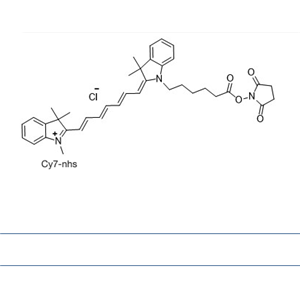 1432466-81-3 脂溶性CY7-NHS酯