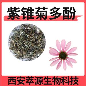 紫锥菊提取物,echinacea extract powder