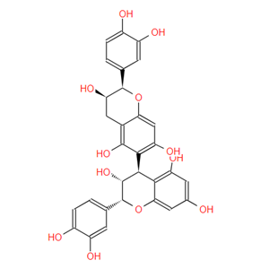 原花青素B5,Procyanidin B5