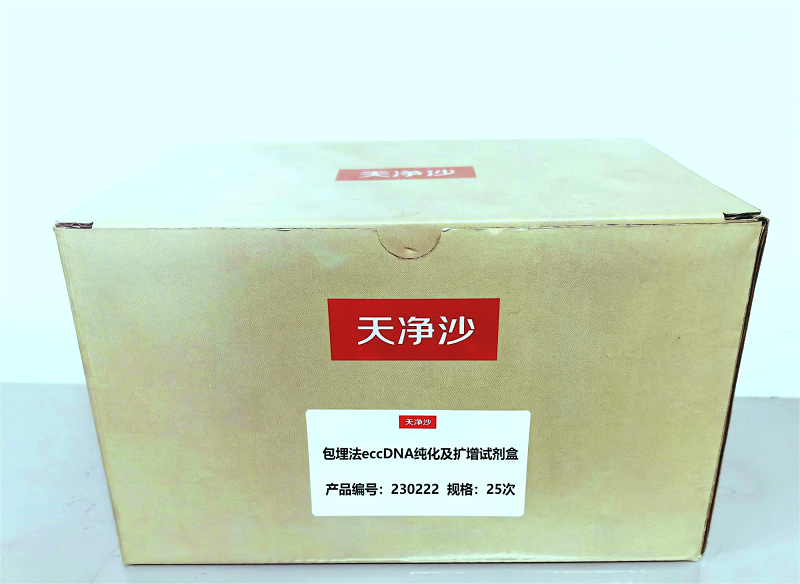 包埋法eccDNA纯化及扩增试剂盒,eccDNA Purification and Amplification Kit