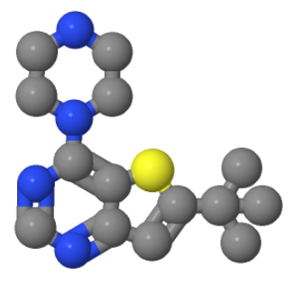 6-叔丁基-4-哌嗪噻吩[3,2-D]嘧啶,6-T-BUTYL-4-PIPERAZINOTHIENO[3,2-D]PYRIMIDINE