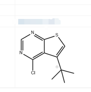 5-叔丁基-4-氯噻吩[2,3-D]嘧啶,5-TERT-BUTYL-4-CHLORO-THIENO[2,3-D]PYRIMIDINE