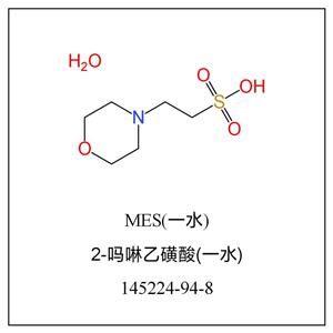 吗啉乙磺酸（一水）,MES H2O