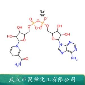 beta-烟酰胺腺嘌呤二核苷二钠,beta-Nicotinamide adenine dinucleotide, disodium salt