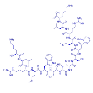CAV1寡聚体破坏剂多肽/WL47