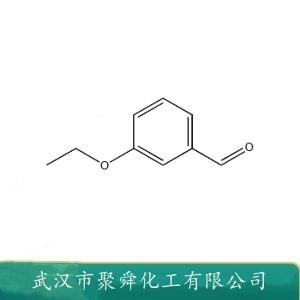 间乙氧基苯甲醛,3-Ethoxy Benzaldehyde