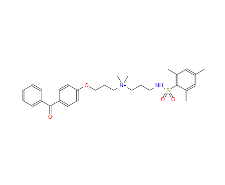 3-(4-苯甲酰基苯氧基)-N,N-二甲基-N-[3-[[(2,4,6-三甲基苯基)磺酰基]氨基]丙基]-溴化物-1-丙铵,3-(4-Benzoylphenoxy)-N,N-dimethyl-N-[3-[[(2,4,6-trimethylphenyl)sulfonyl]amino]propyl]-1-propanaminium