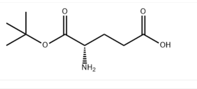 1-叔丁基 L-谷氨酸,L-Glutamic acid α-tert·butyl ester