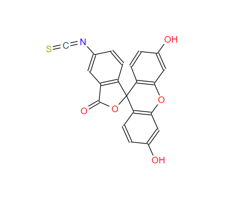 5-异硫氰酸荧光素酯,Fluorescein isothiocyanate isomer I