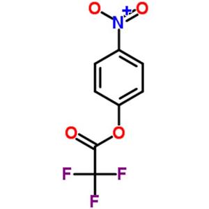 4-硝基苯基三氟醋酸酯,4-Nitrophenyl 2,2,2-trifluoroacetate,4-Nitrophenyltrifluoracetat