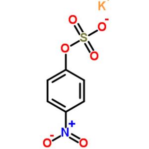 4-硝基苯基硫酸钾,Potassium 4-nitrophenyl sulfate,4-硝基苯基硫酸钾