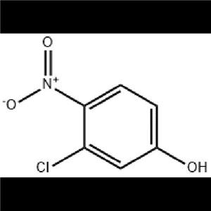 3-氯-4-硝基苯酚,3-Chloro-4-nitrophenol,3-氯-4-硝基苯酚
