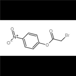 4-硝基苯酚溴乙酯,4-NITROPHENYL BROMOACETATE,(4-nitrophenyl) 2-bromoacetate