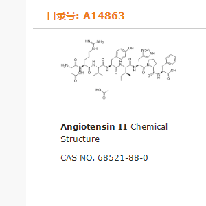 血管紧张素II,Angiotensin II