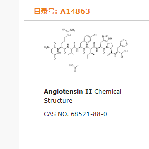 血管緊張素II,Angiotensin II