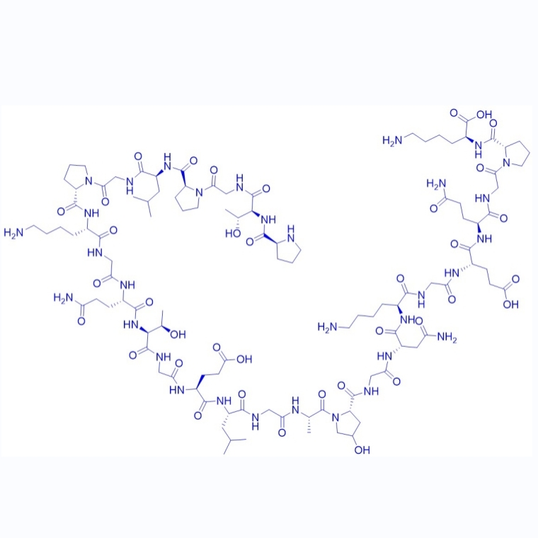 跨膜蛋白質(zhì),Collagen Type II Fragment/(Ala2,Hyp21,Asn23)-Collagen Type II (245-270)