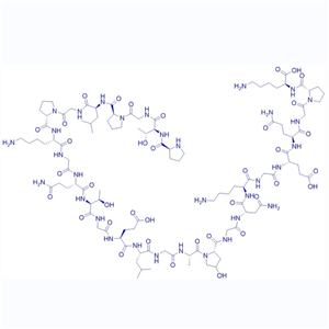 跨膜蛋白质/144703-90-2/Collagen Type II Fragment