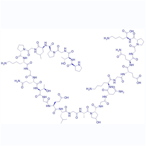 跨膜蛋白质,Collagen Type II Fragment/(Ala2,Hyp21,Asn23)-Collagen Type II (245-270)