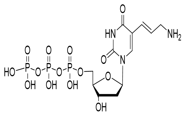 5-[3-氨基烯丙基]-2′-脱氧尿苷 5′-三磷酸盐,Aminoallyl-dUTP sodium salt