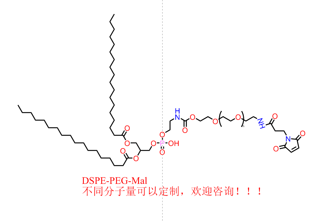 二硬脂酰基磷脂酰乙醇胺-聚乙二醇-马来酰亚胺,DSPE-PEG-Mal