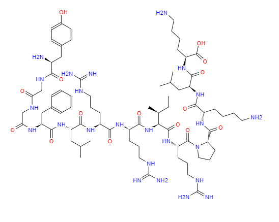 强啡肽 A (1-13),Dynorphin A (1-13)