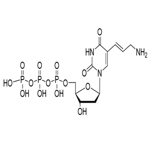 5-[3-氨基烯丙基]-2′-脱氧尿苷 5′-三磷酸盐
