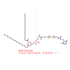 二硬脂酰基磷脂酰乙醇胺-聚乙二醇-马来酰亚胺,DSPE-PEG-Mal