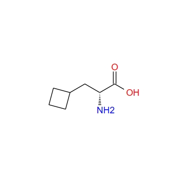 D-環(huán)丁基丙氨酸,(R)-2-amino-3-cyclobutylpropanoic acid