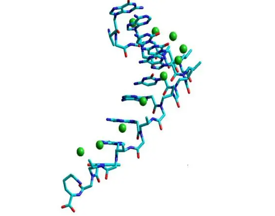 新生抗原肽,neoantigen peptide