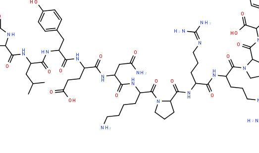 活性依赖的神经保护肽抗体,Anti-ADNP/NAP